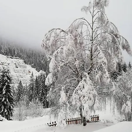 Апартаменты Haus Julia