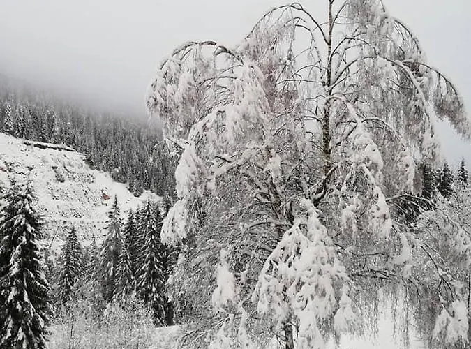 Apartament Haus Julia